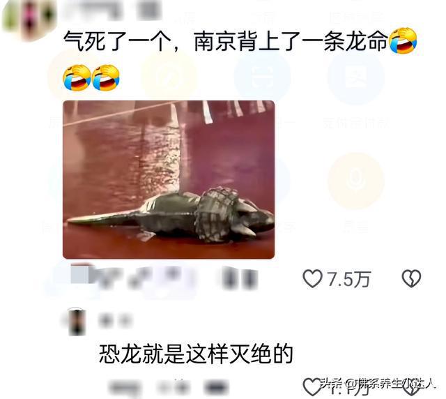 MK体育-苏超中常州输给南京，小恐龙当场气晕被工作人员抬下场的简单介绍