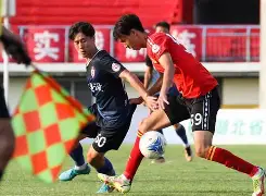 MK体育-拼搏无悔：卢森堡队奋起反击的简单介绍