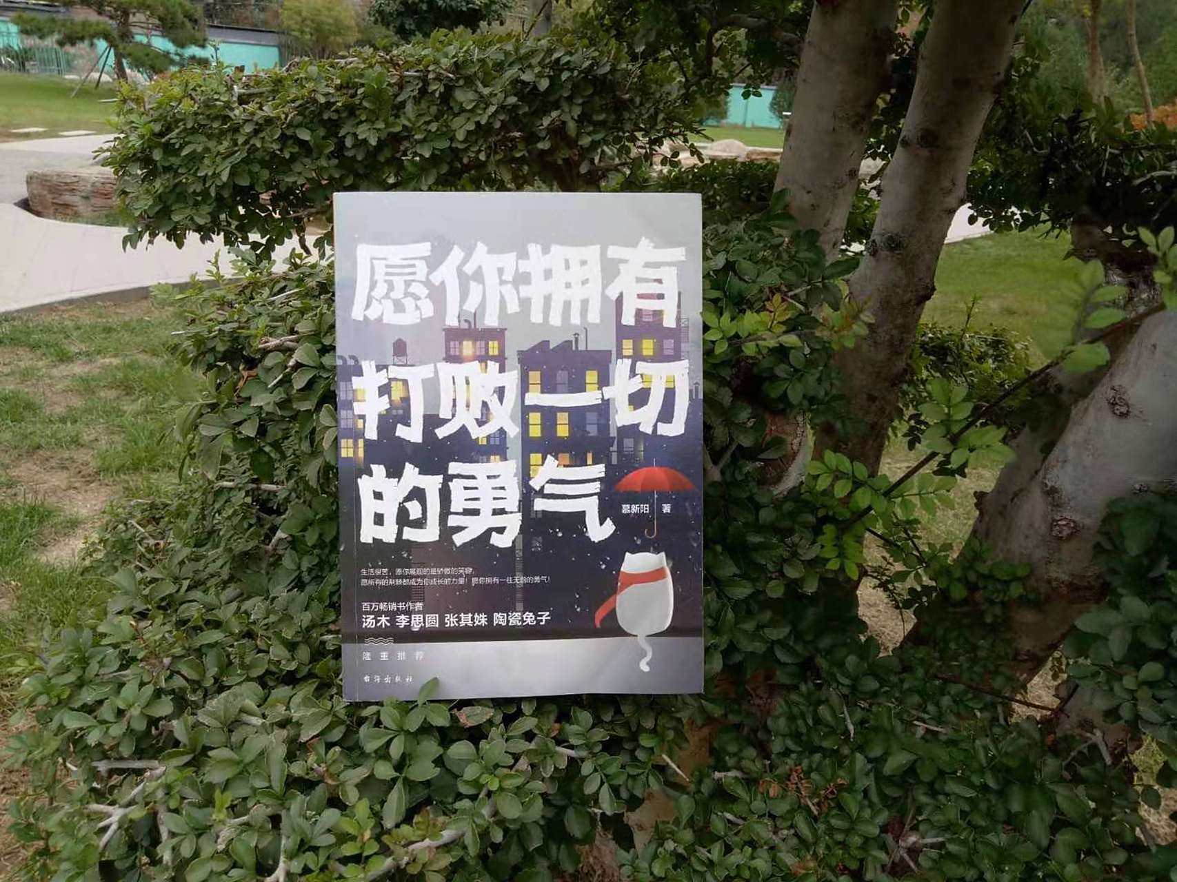 战胜自己战胜对手，实力和勇气并存